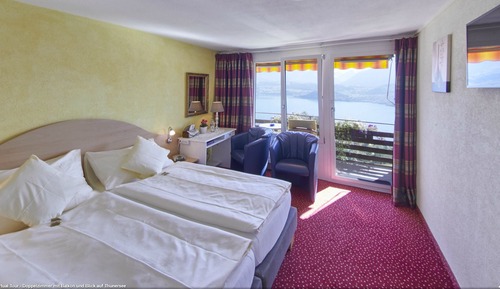 Double Room Single Use, Lake View