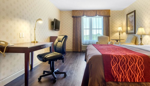 Standard Room, 1 King Bed, Non Smoking