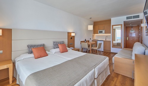 Superior Studio, Terrace, Sea View (Single Use)