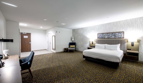 Room, 1 King Bed