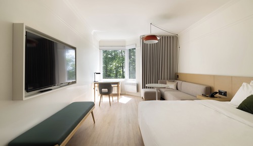 Standard Room, 1 King Bed, Mountain View
