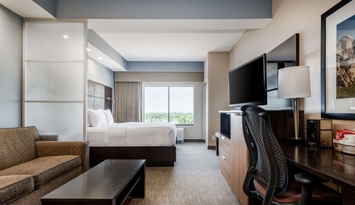 Suite, 1 King Bed, Accessible, Bathtub (with Sofabed)