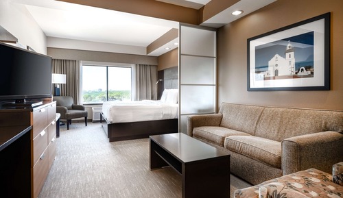 Suite, 1 King Bed, Non Smoking (Shower Only;with Sofabed)