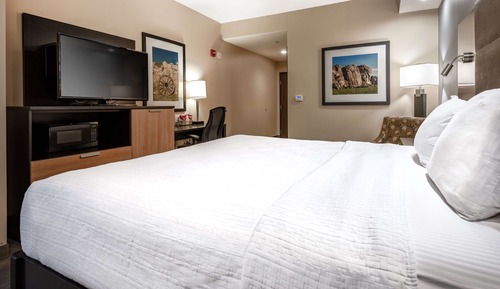 Standard Room, 1 King Bed, Non Smoking (Shower Only)