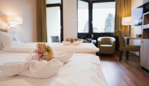 Business Double Room