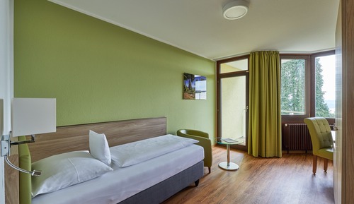 Single Room, Lake View