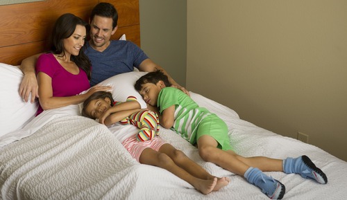 Standard Room, 1 Double Bed, Accessible, Non Smoking