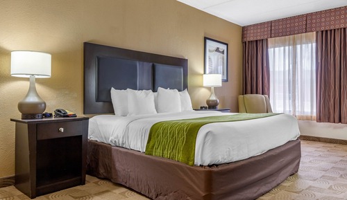 Room, 1 King Bed, Accessible, Non Smoking