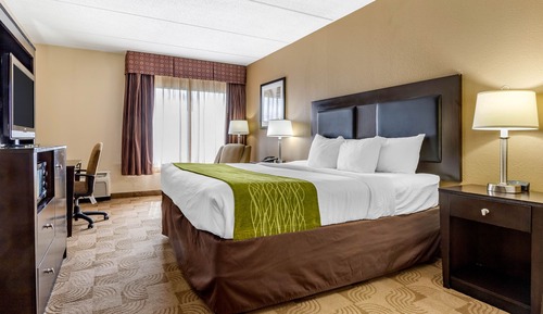 Standard Room, 1 King Bed, Non Smoking