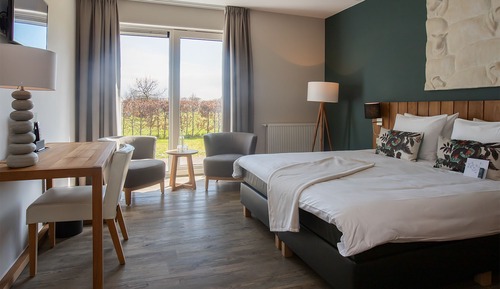 Deluxe Room with Shower
