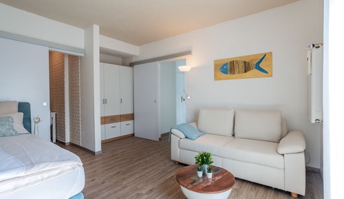 Basic Apartment
