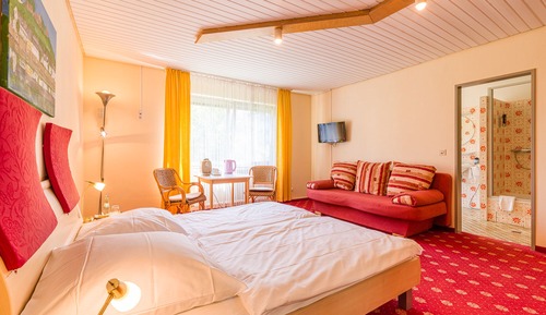 Comfort Double Room (Plus, Sofa Bed on demand)