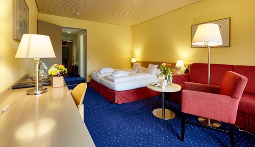 Superior Double Room, 1 King Bed, Bathtub