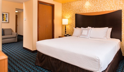 Room, 1 King Bed, Non Smoking (Mobility/Hearing Access, Roll-in Shwr)