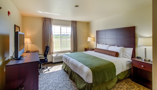 Room, 1 King Bed, Accessible, Non Smoking
