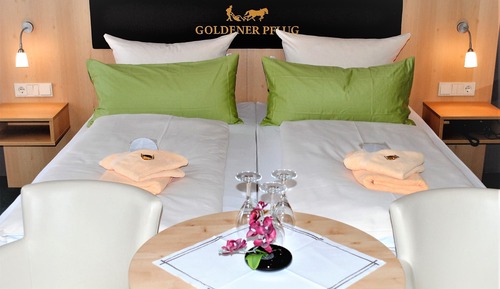 Double Room (Doppelzimmer mit Zustellbett)