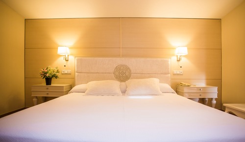 Basic Triple Room