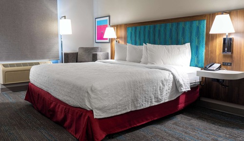 Room, 1 King Bed, Non Smoking, Refrigerator & Microwave