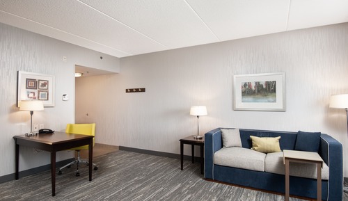 Suite, 1 King Bed with Sofa bed, Non Smoking
