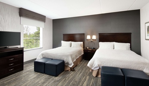 Studio Suite, Non Smoking (2 Queen Beds with SofaBed)