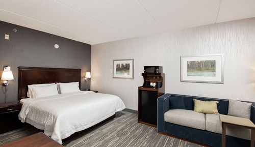 Standard Room, 1 King Bed with Sofa bed, Accessible, Non Smoking