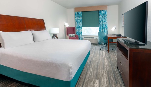 Room, 1 King Bed