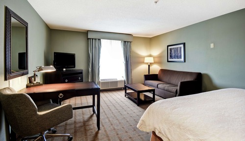 King Study with Sofabed