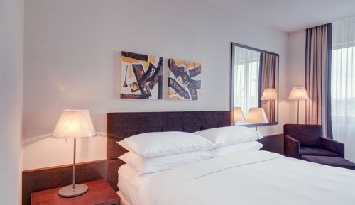 Room, 1 King Bed