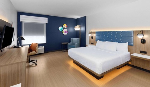 Room, 1 King Bed, Accessible, Non Smoking (Mobility,Hearing,Roll-In Shower)