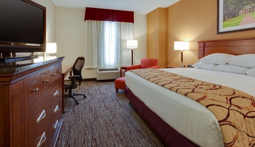 Deluxe Room, 1 King Bed, Refrigerator & Microwave