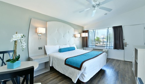 Room, 1 King Bed