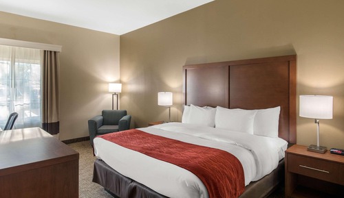 Standard Room, 1 King Bed, Non Smoking