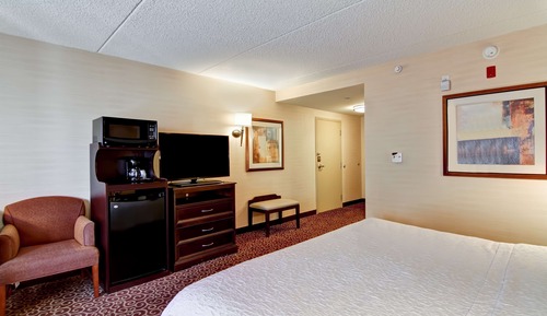 Room, 1 King Bed, Accessible, Non Smoking