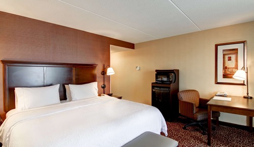 Room, 1 King Bed, Non Smoking