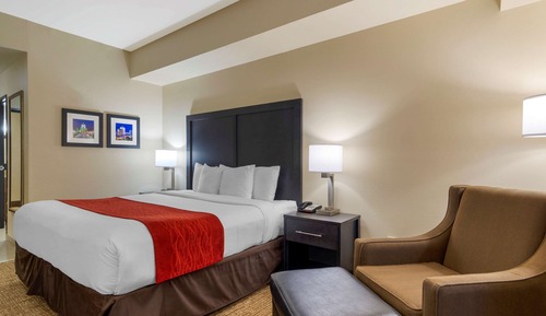 Room, 1 King Bed, Accessible, Non Smoking