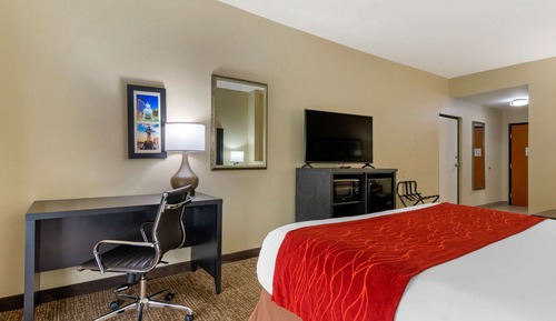 Suite, 1 King Bed with Sofa bed, Accessible, Non Smoking