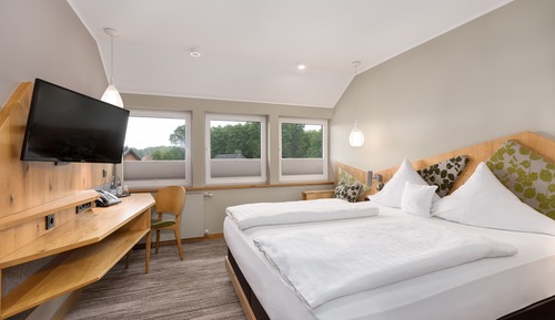 Comfort Double Room, 1 Double Bed