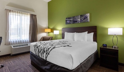 Room, 1 King Bed, Accessible, Non Smoking