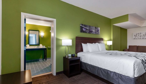 Suite, 1 King Bed with Sofa bed, Accessible, Non Smoking
