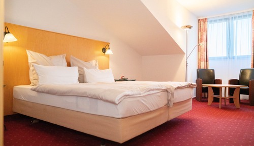 Basic Double Room