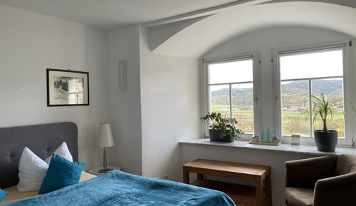 Basic Double Room, Ensuite, Mountain View (Forsthaus 5)