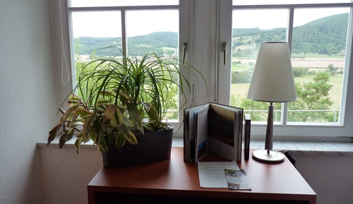 Basic Double Room, Ensuite, Mountain View (Forsthaus 4)