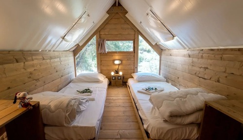 Economy Tent