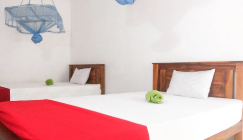 Standard Double Room, 2 Twin Beds