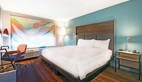 Room, 1 King Bed