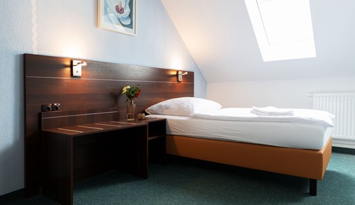 Basic Single Room