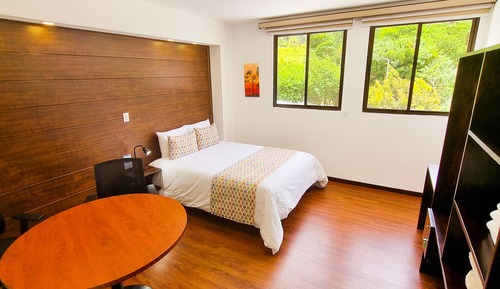 Standard Double Room, Mountain View