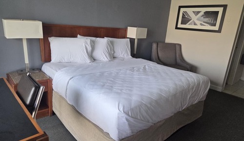 Room, 1 King Bed, Smoking