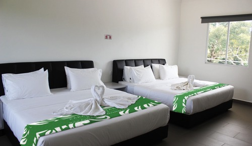 Hill View Family Quad Room