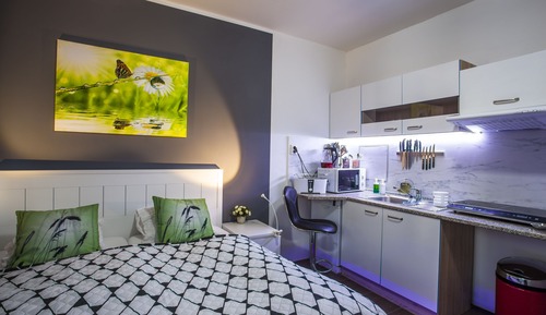 Standard Apartment